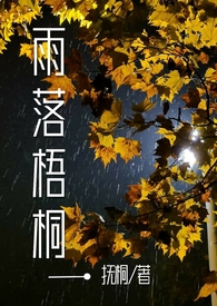 雨落梧桐 小说